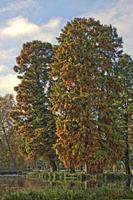 Cjp_2009_10_29_151354 (1)_HDR-D2.jpg